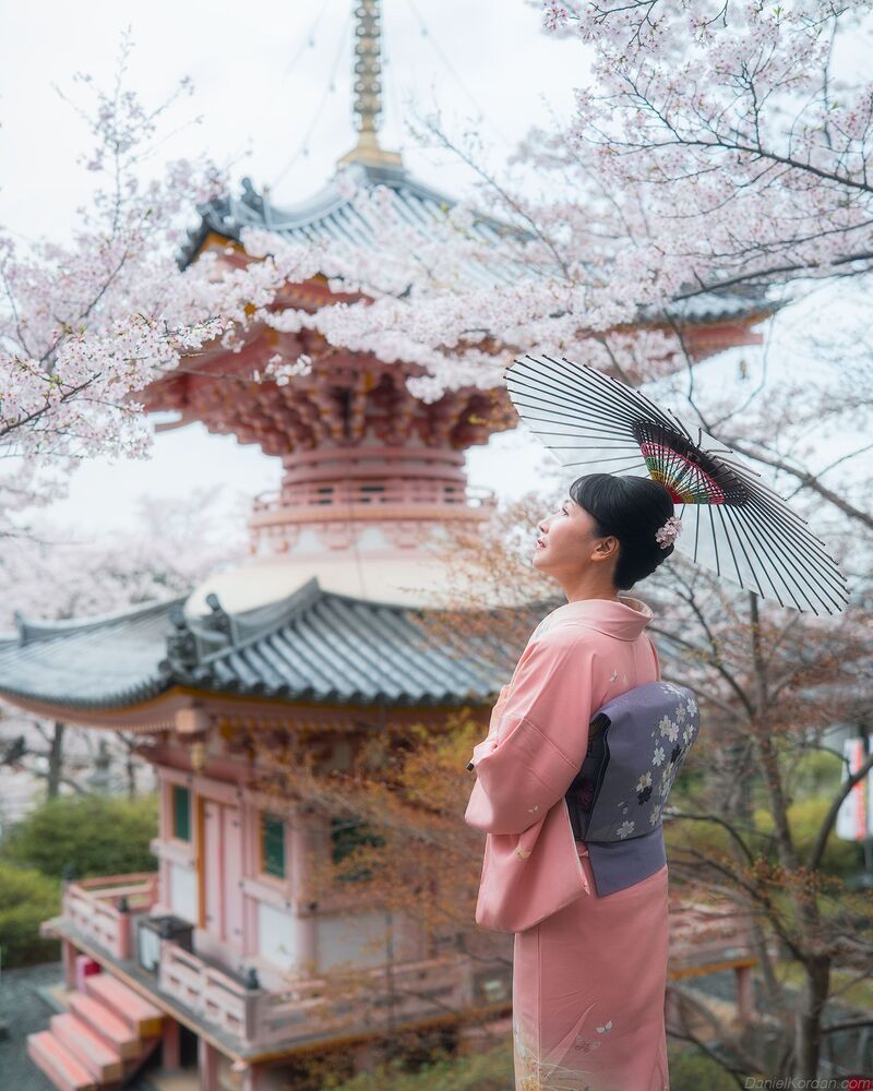 Sakura