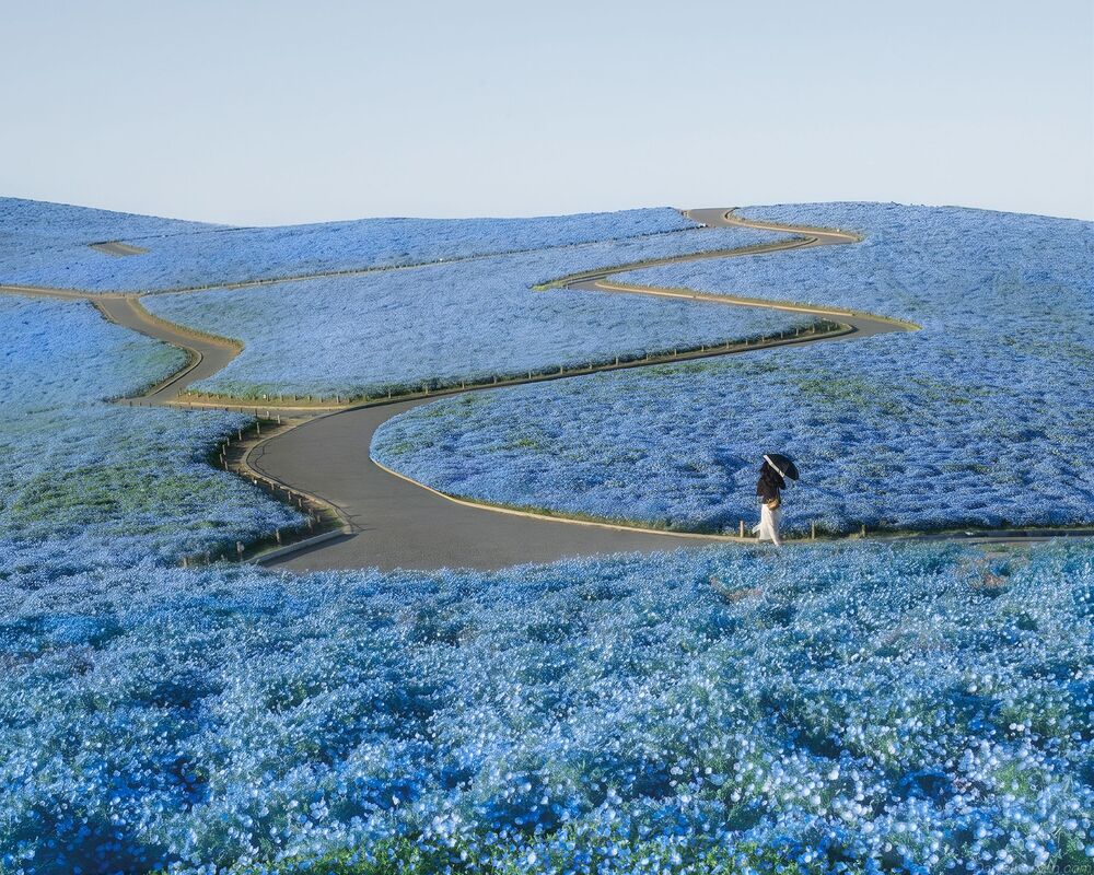Hitachi park