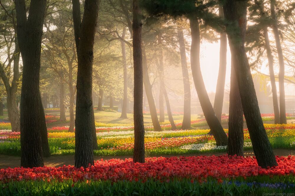 Hitachi park