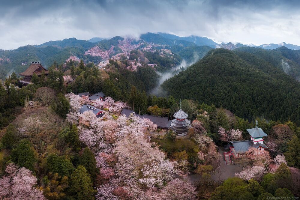 Yoshino