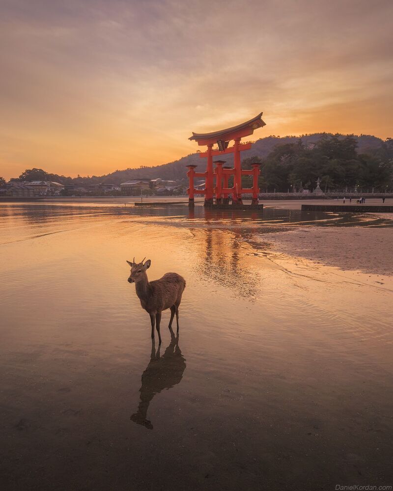 Miyajima