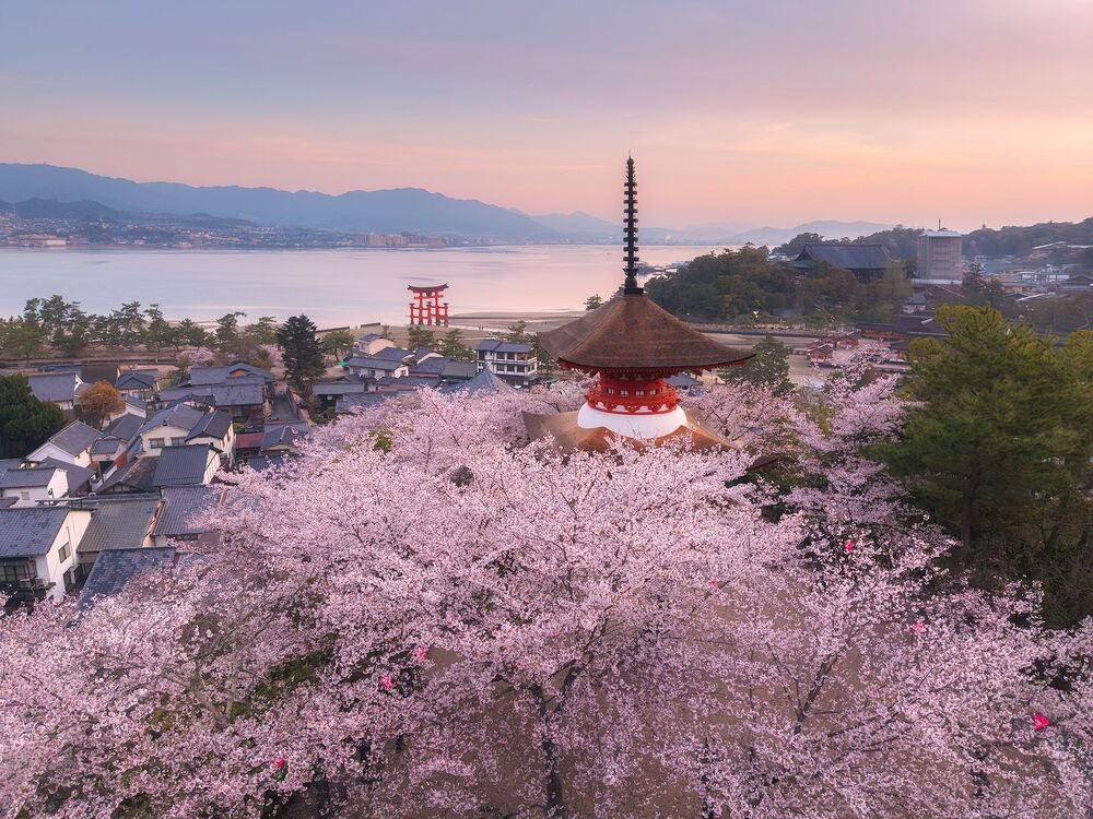 Miyajima