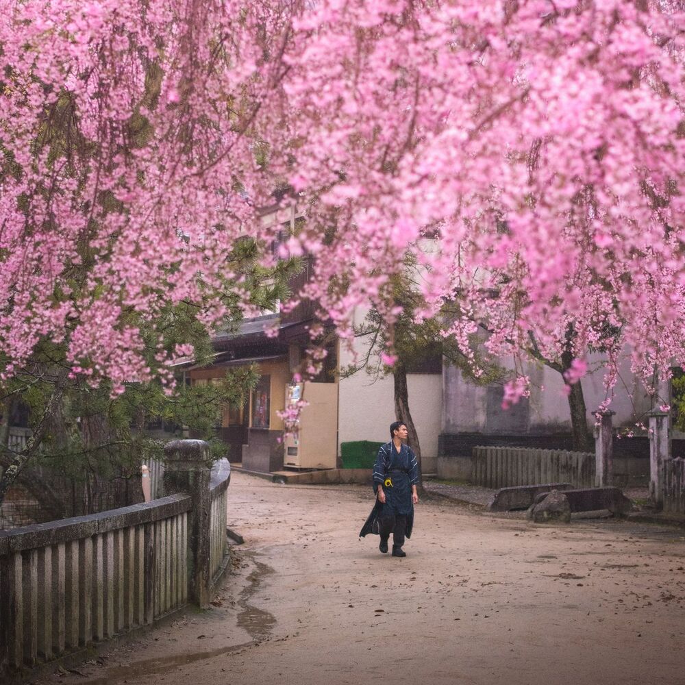 Miyajima