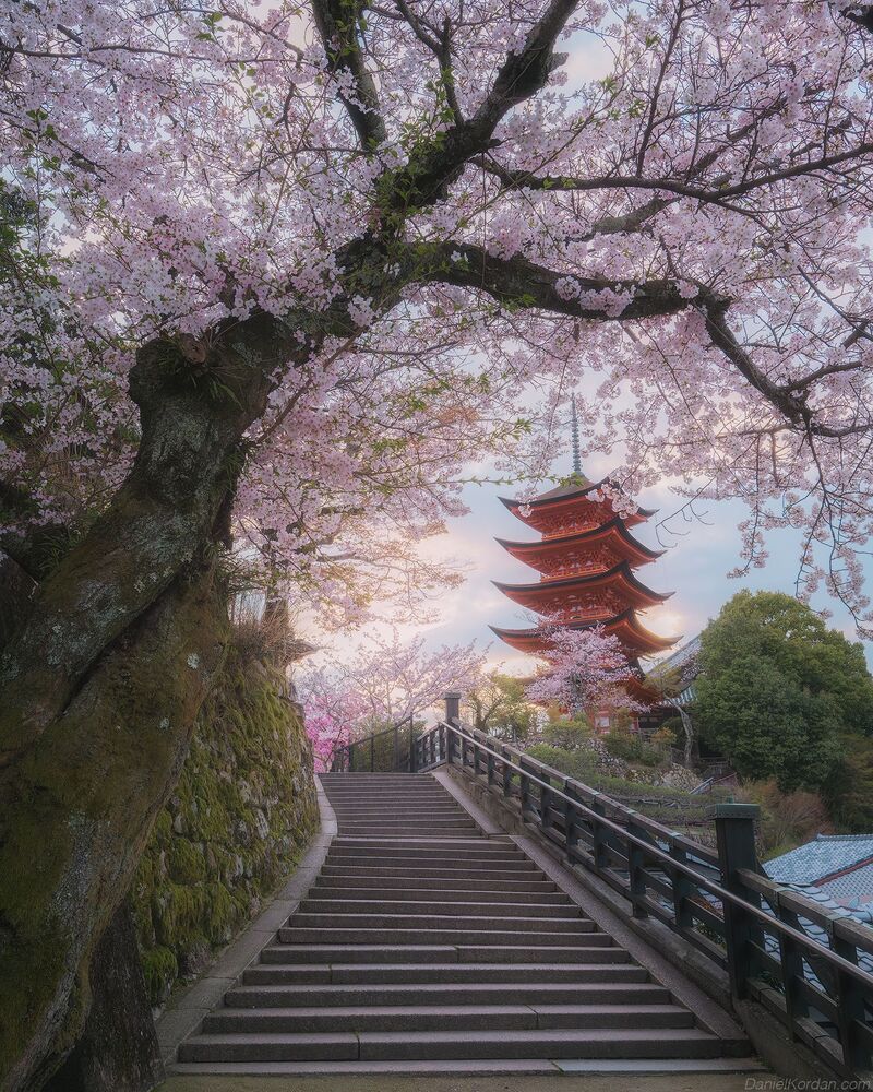 Miyajima