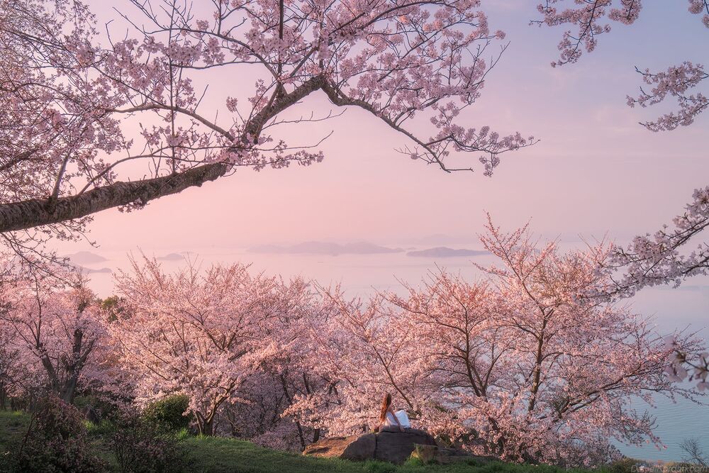 Shiudeyama