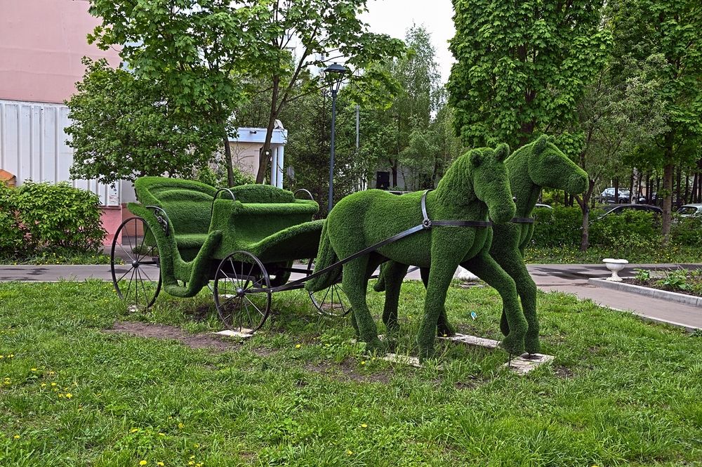 Топиар