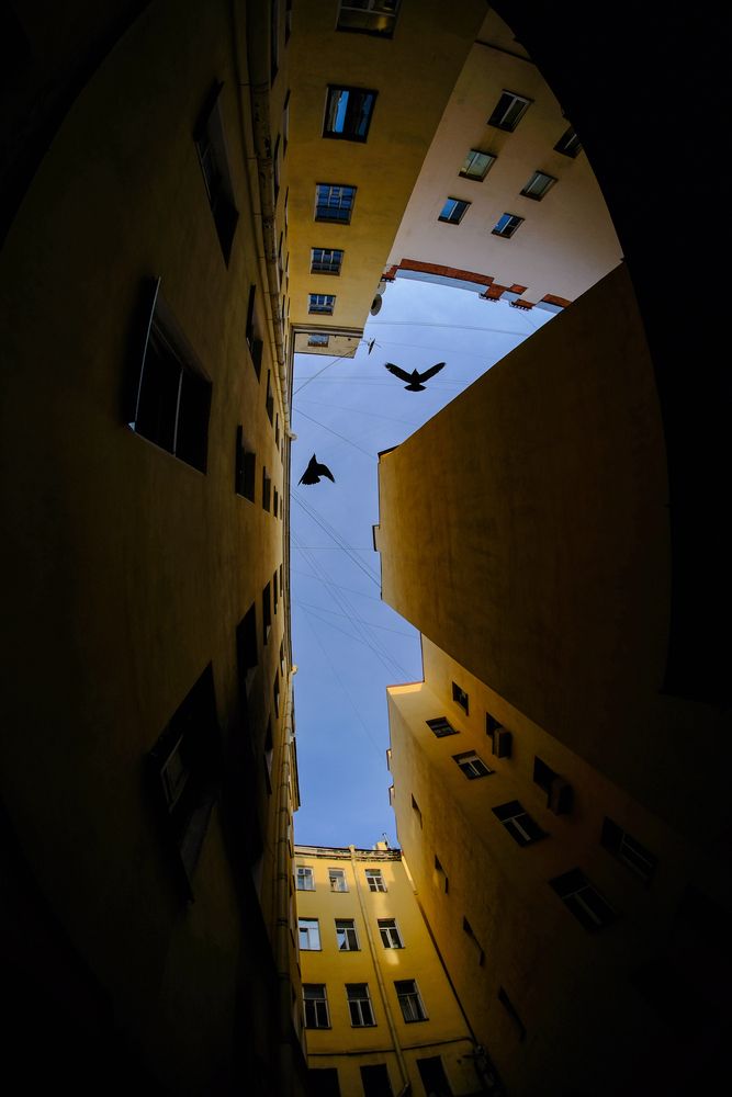 Нуарная геометрия / Noir Geometry
