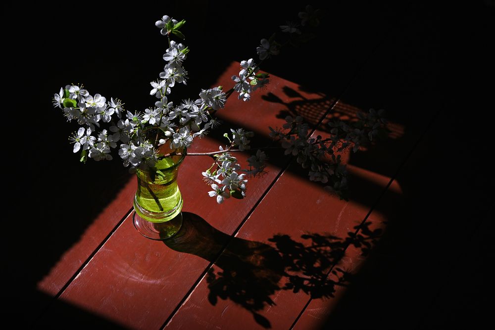 Photo 29944004