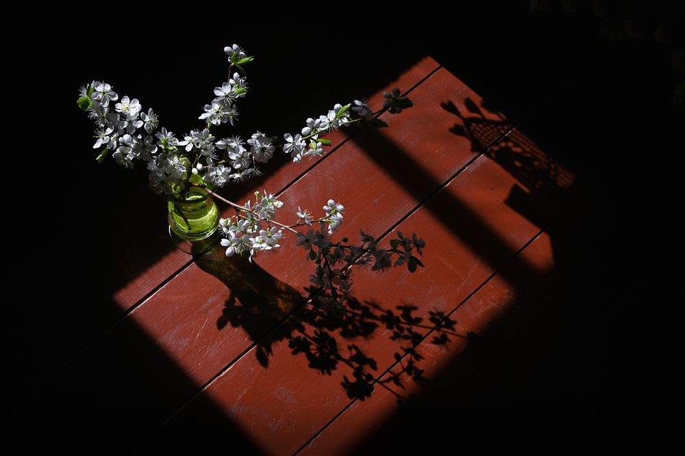 Photo 29944005
