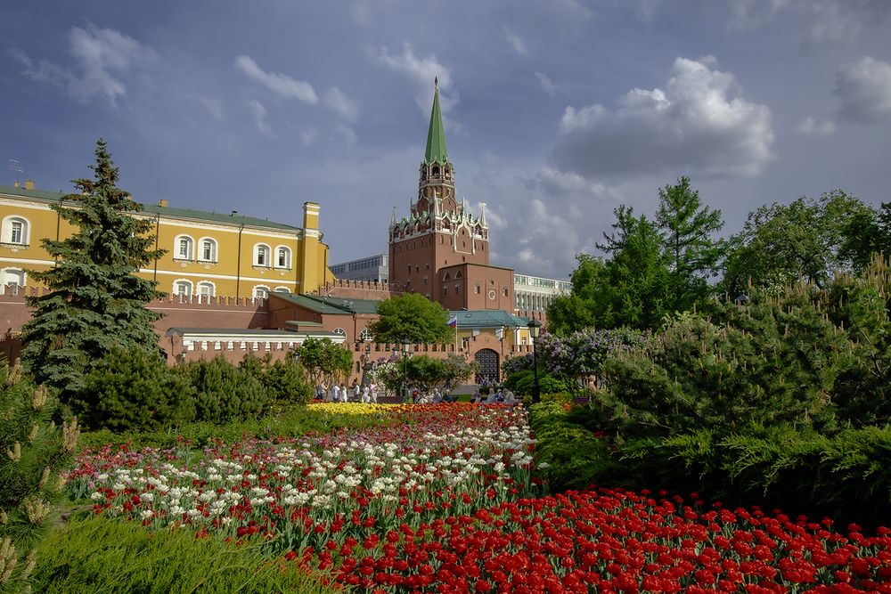 Жара, тюльпаны и сирень)