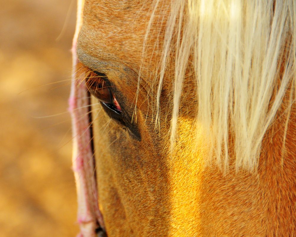 Close up