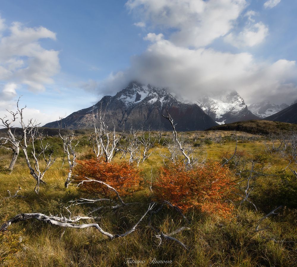 Torres del Paine