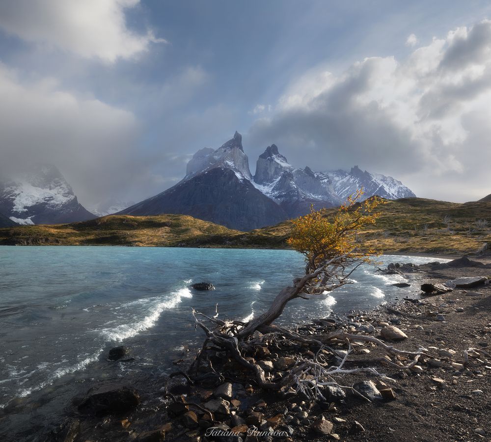 Torres del Paine
