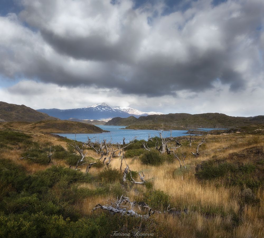 Torres del Paine