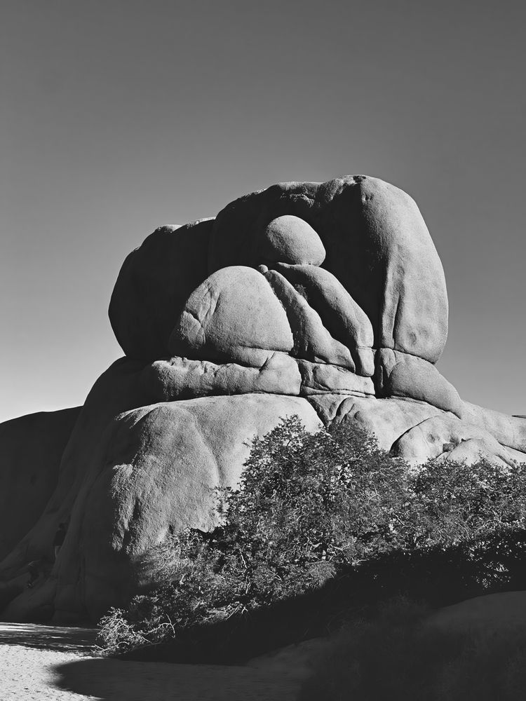 Парки Америки. Камни, каньоны, пальмы.