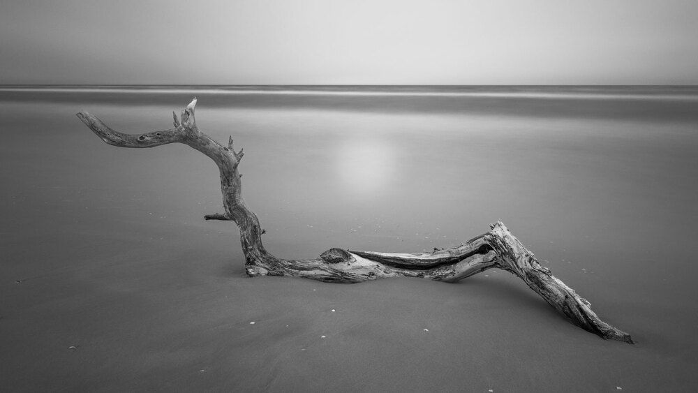 Photo 29945627