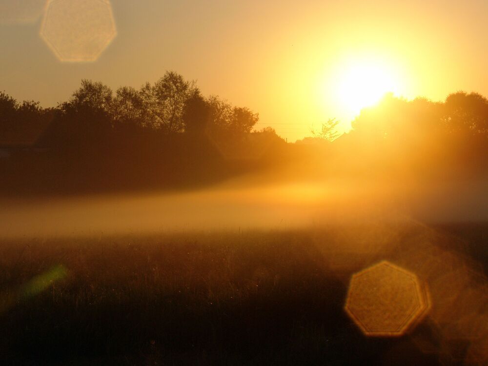 Photo 29945636