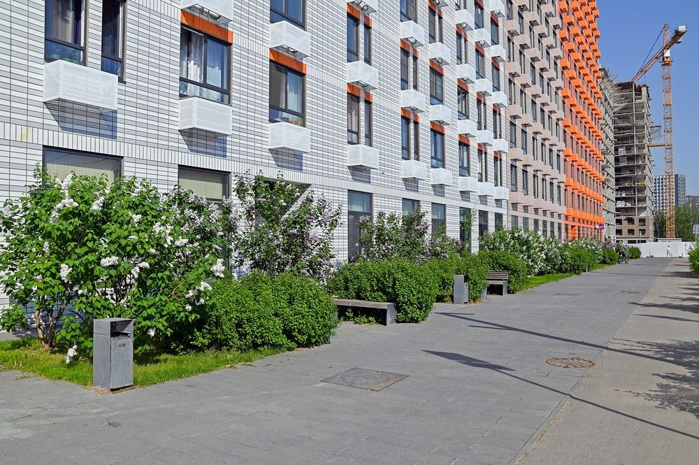 На улицах Новой Москвы