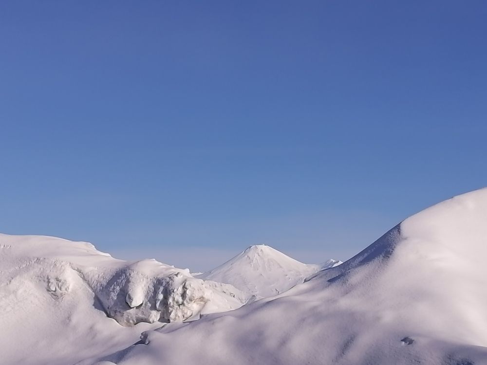 Камчатская рябина