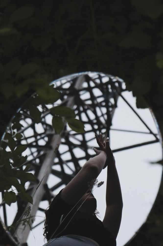 Photo 29946481
