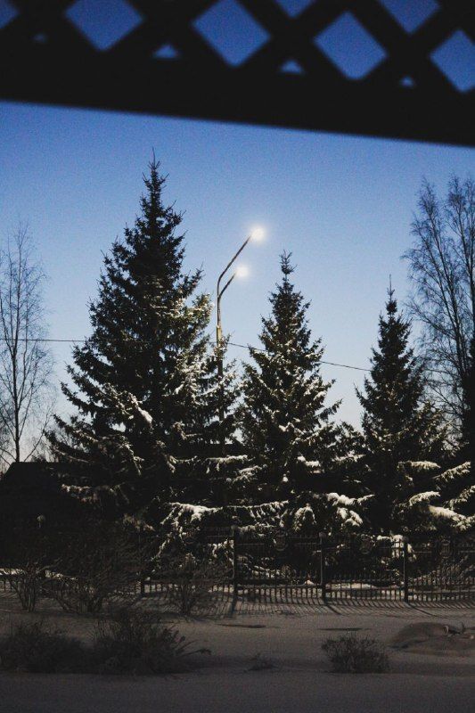 Photo 29946482
