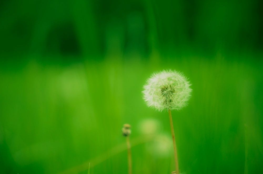 Photo 29946828