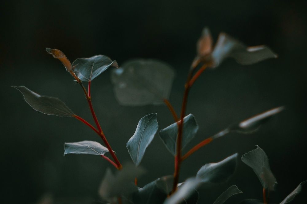 Photo 29946829