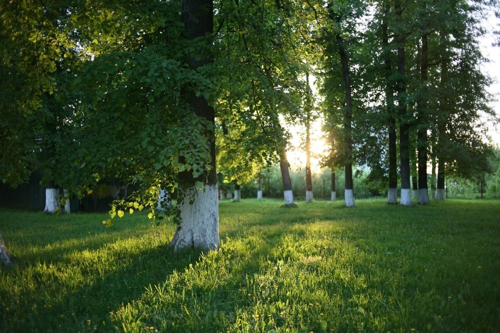 Photo 29946831