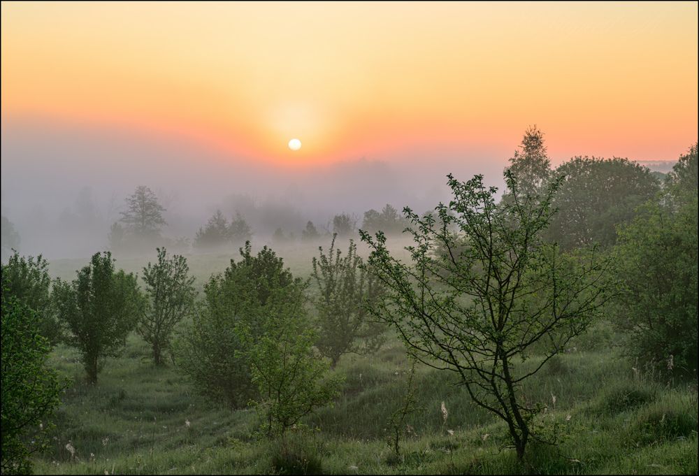 Восход в долине Упы