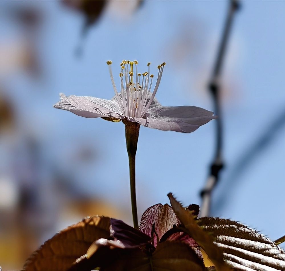 Photo 29946905