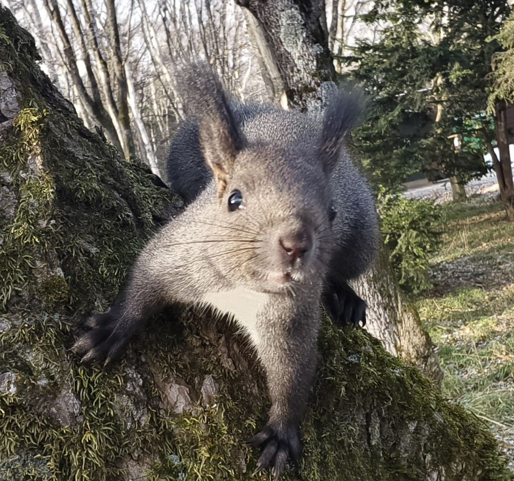 Photo 29946906
