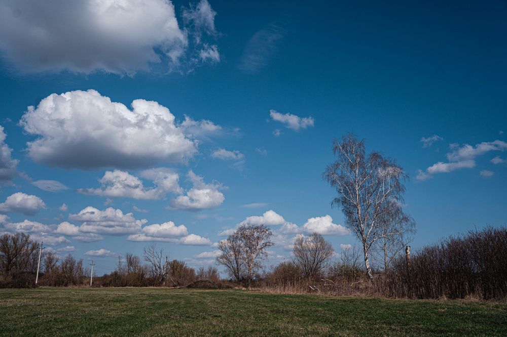 Photo 29946934
