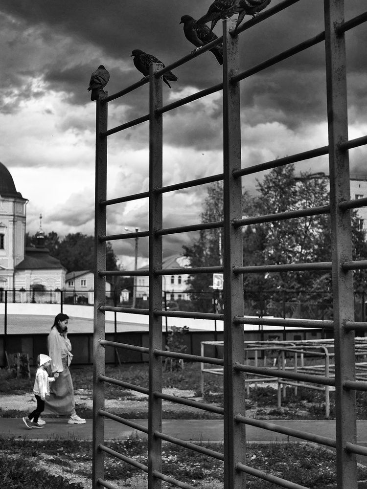 Photo 29946959