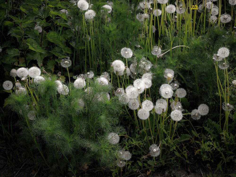 Photo 29946974