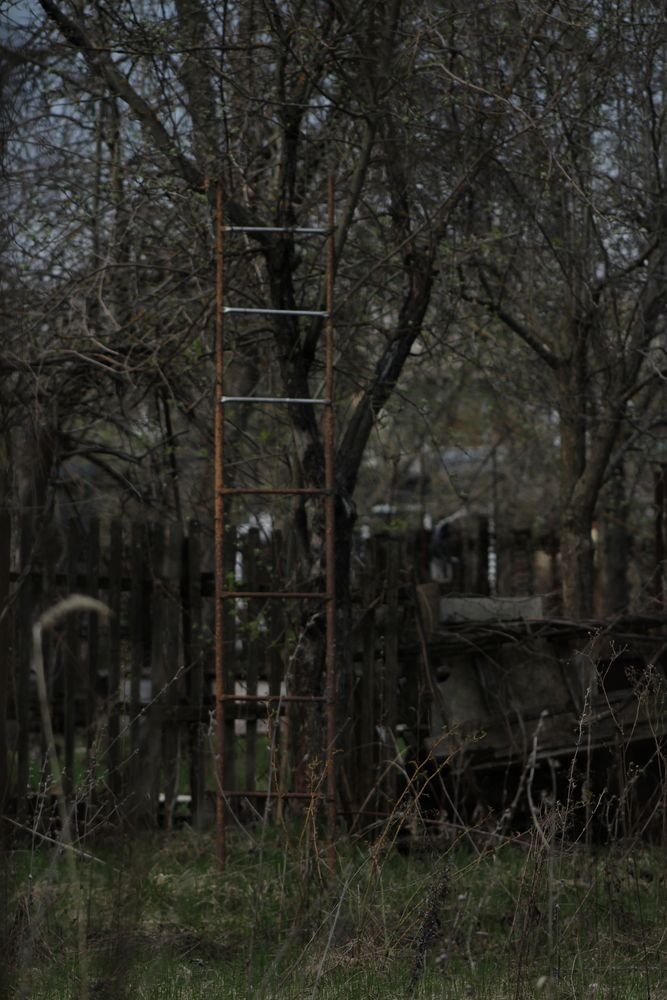 Photo 29947067