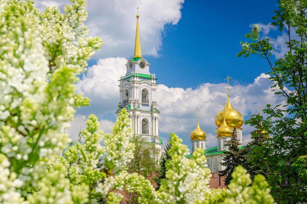 Тула цветущая.