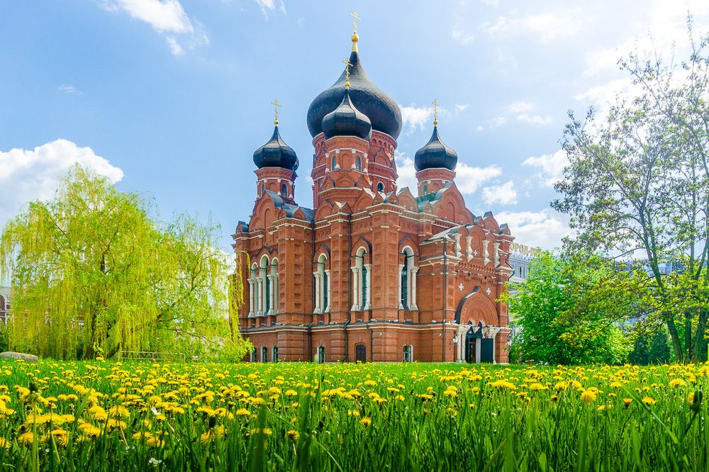 Тула цветущая.
