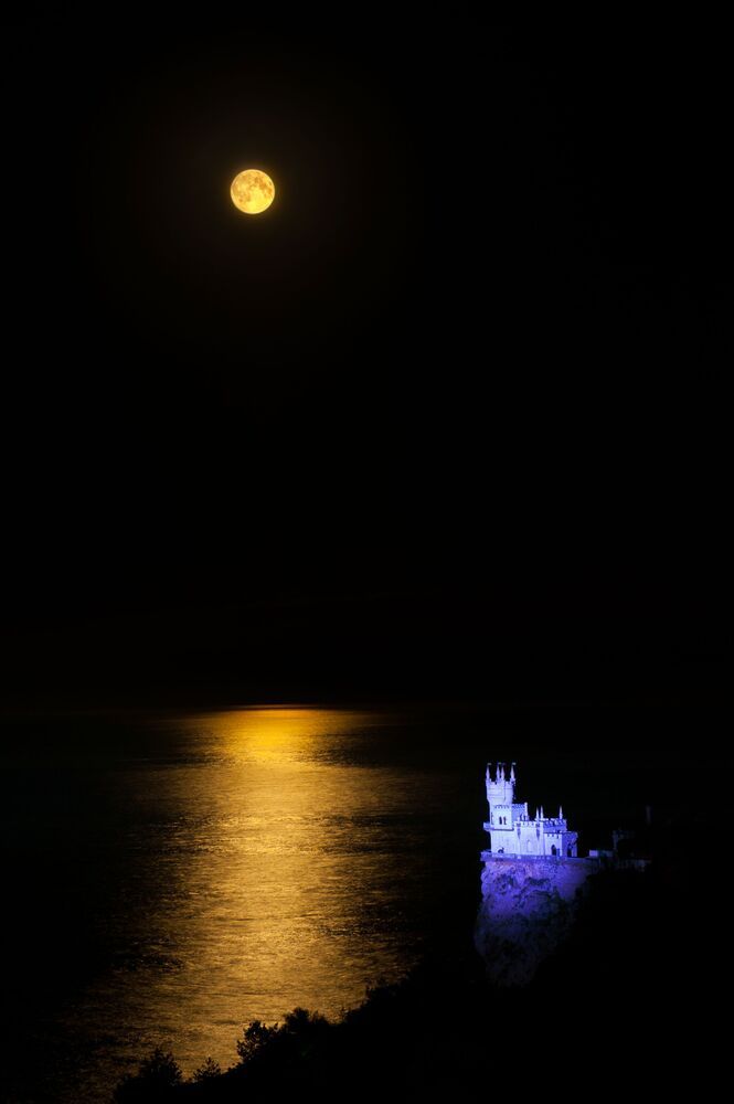 Photo 29947277