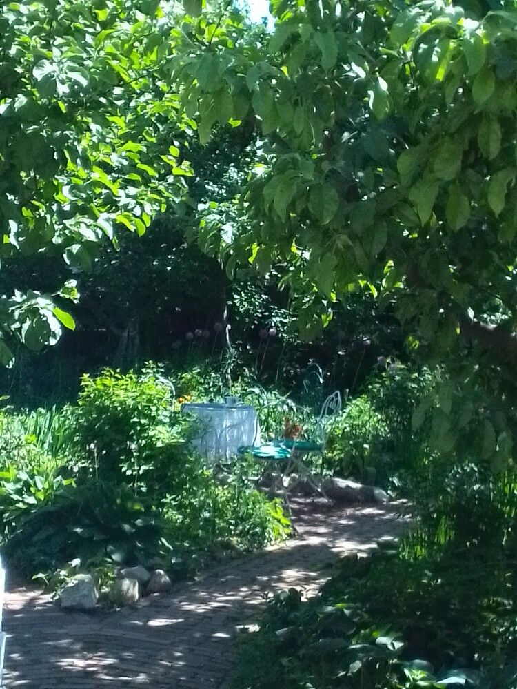 Photo 29947346