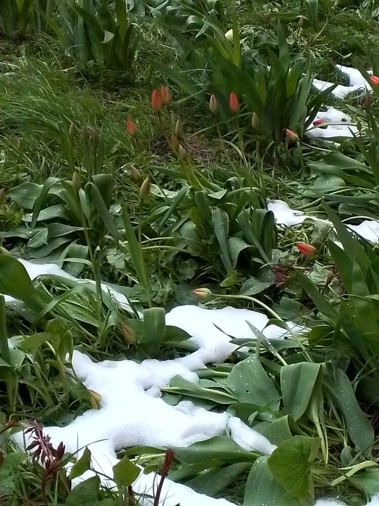 Photo 29947354
