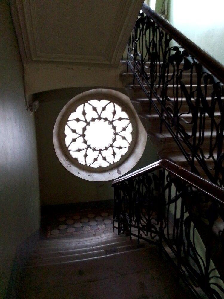 Photo 29947355