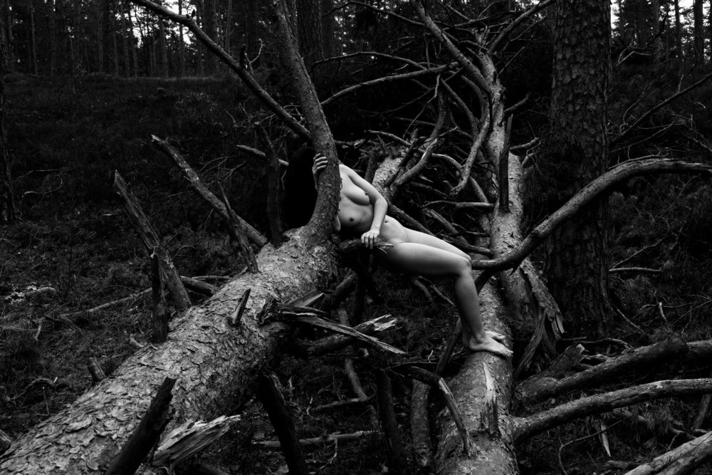 Photo 29947370