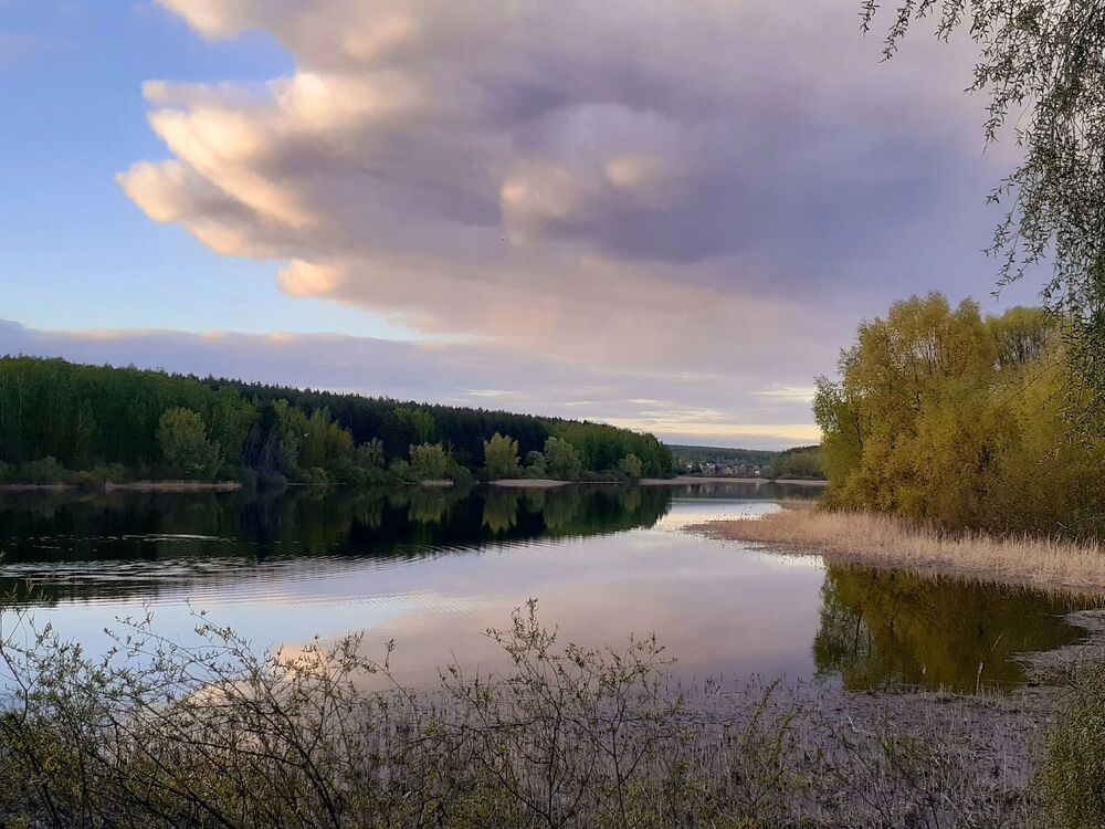 Photo 29947768