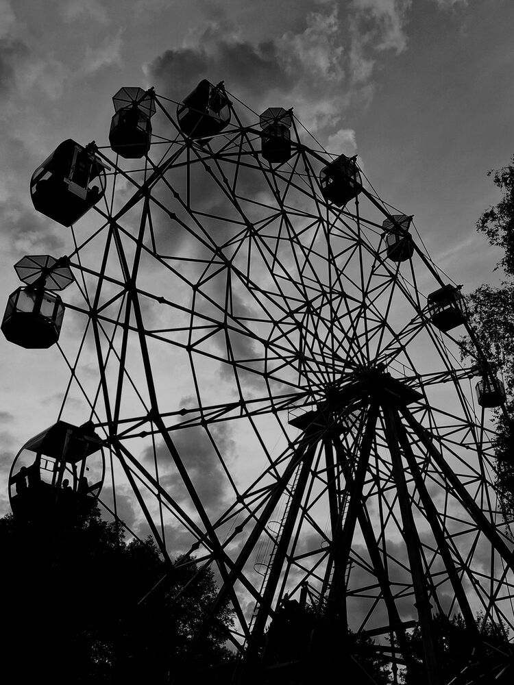 Photo 29947769