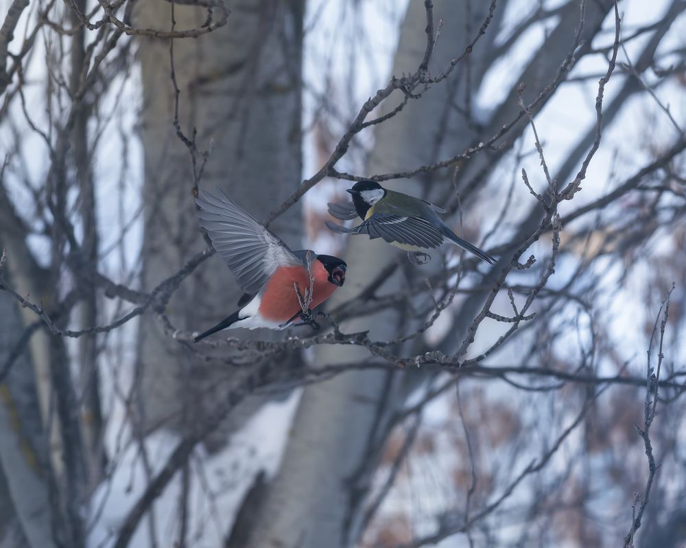 Photo 29947797