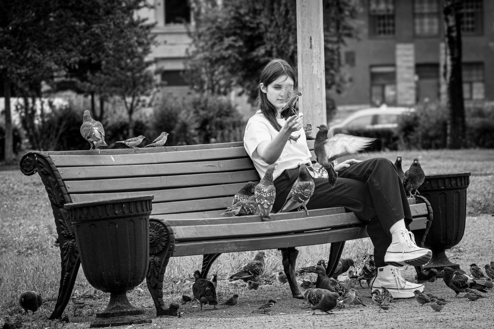 Photo 29947812