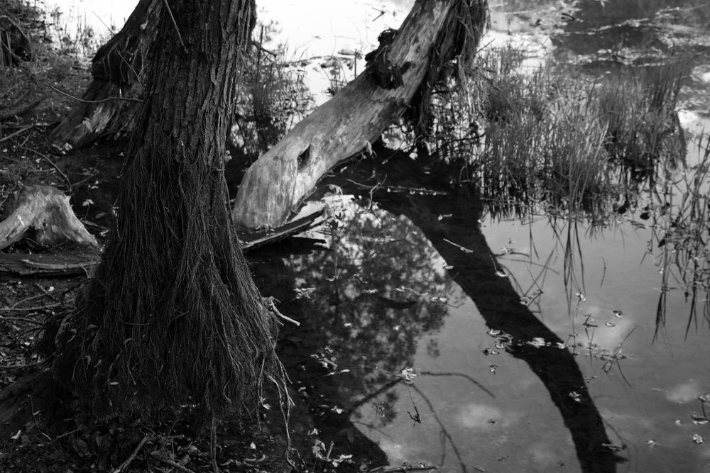 Photo 29947867