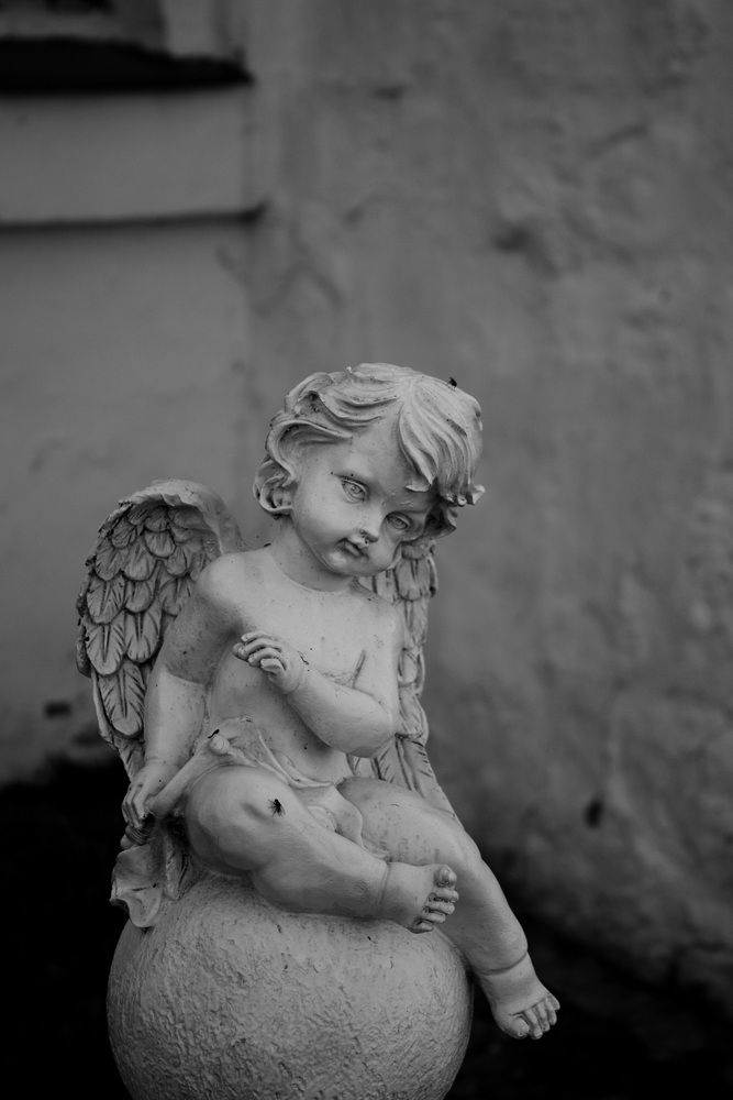 Photo 29947868