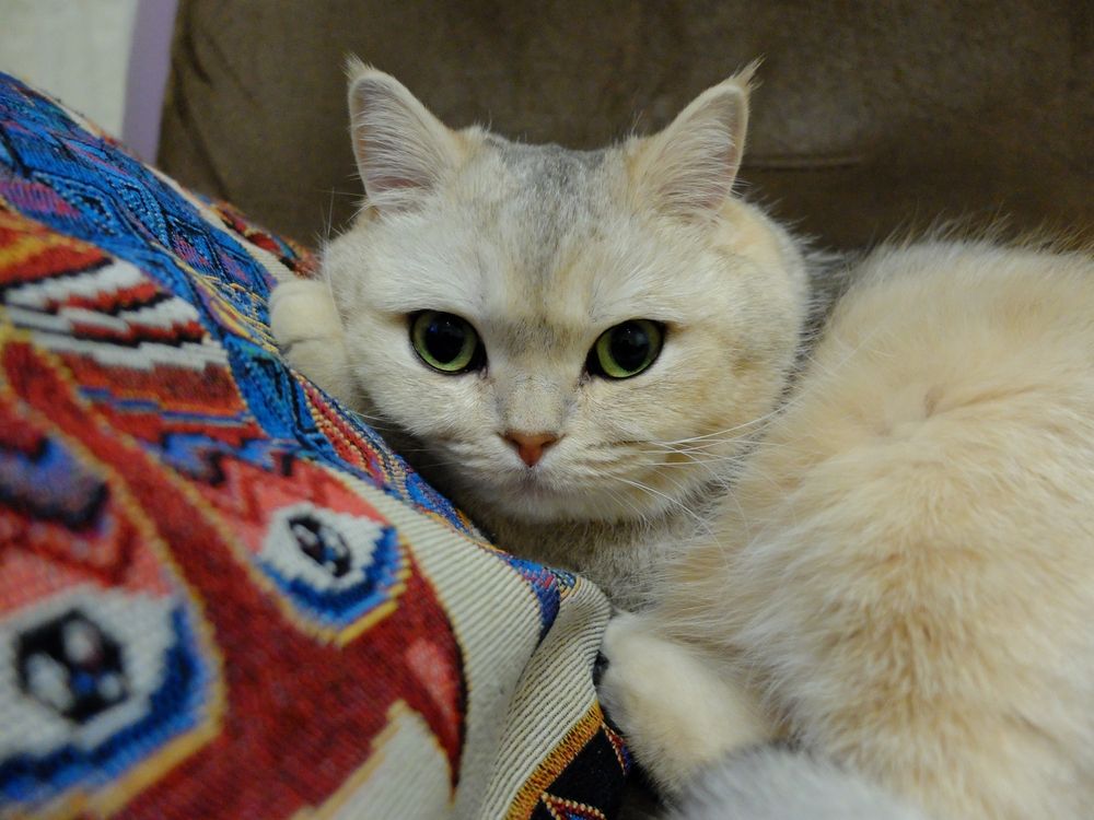 Photo 29947951