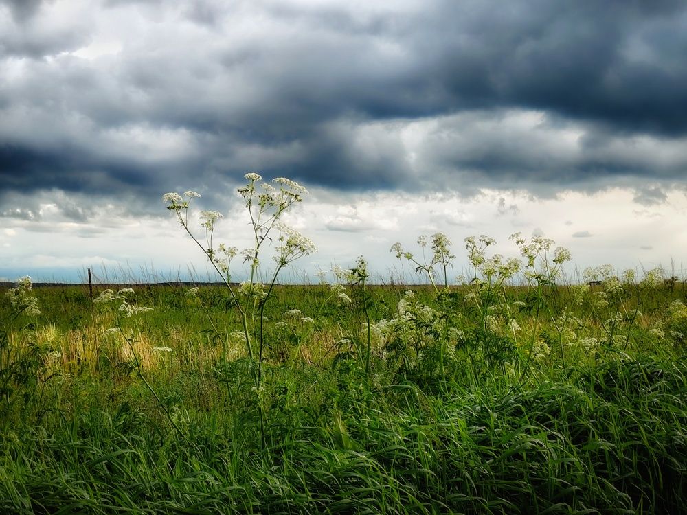 Photo 29948193